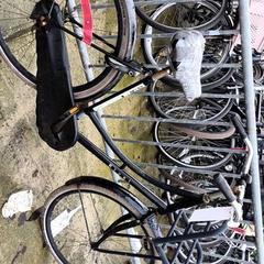 Zwarte opoefiets, as reported by Stadswerk072 using iLost