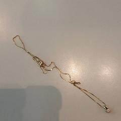 Ketting goudkleurig, amint azt LUMC az iLost segítségével jelentette.