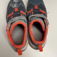 Shoes Oranje grijs, as reported by Burgers' Zoo using iLost