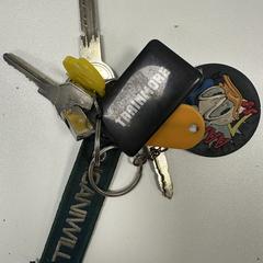 Sleutel, jak bylo nahlášeno na iLost