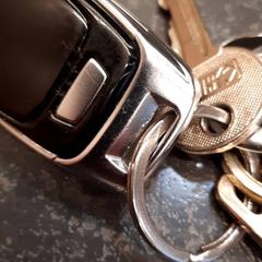 Keys, as reported by Rotterdam The Hague Airport using iLost