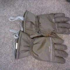 Gloves, as reported by SnowWorld Landgraaf using iLost