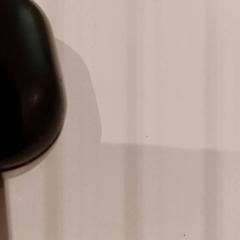 Earpods, iLost를 사용하여 De Efteling에 보고됨