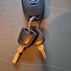 sleutels vrachtwagen, segons s'ha informat a iLost