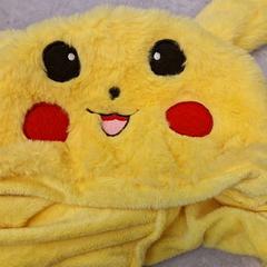 Petje, as reported by IKEA Malmö using iLost