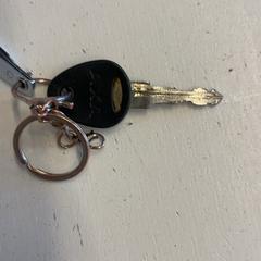 Klucz, zgłoszono przez GVB przy użyciu iLost