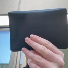 Portefuille Zwart, as reported by Regio Limburg - Leuven using iLost