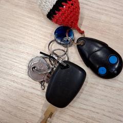 İLost kullanarak IKEA Villiers-sur-Marne tarafından bildirildiği gibi Anahtarlar Porte clé Pokemon