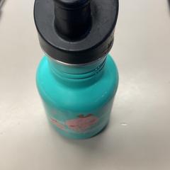 Waterfles Kind, ha sido reportado por Burgers' Zoo con iLost