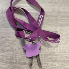 Chiavi, come riportato da EBS OV Poeldijk utilizzando iLost