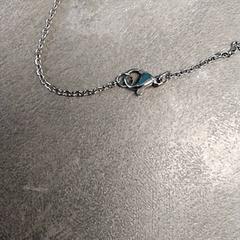 Pegar, segundo informou Arriva Friesland / Groningen usando iLost