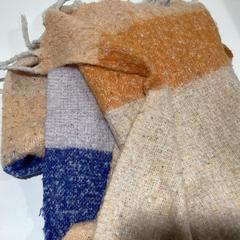 Xal - 071225 MAN, segons ha informat Ziggo Dome mitjançant iLost