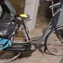 Dames fiets met fietstassen, iLost-i jakinarazi zaion moduan