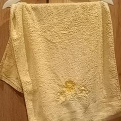 Törülköző, amint azt Van der Valk Hotel Apeldoorn - De Cantharel az iLost segítségével jelentette.