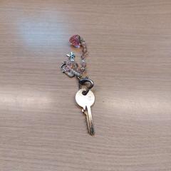 열쇠, iLost를 사용하여 Centraal magazijn에 보고됨