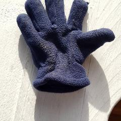 グローブ Donker blauw がiLostで DierenPark Amersfoort によって報告されました