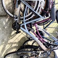 Dámské kolo Batavus, jak nahlášeno Stadswerk072 pomocí iLost