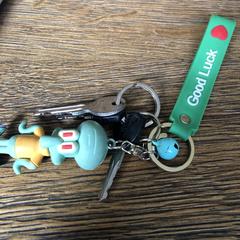 Goodluck sleutelbos, as reported to iLost