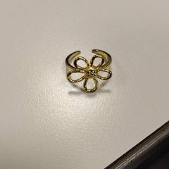 Gyűrű, amint azt Vrije Universiteit Amsterdam az iLost segítségével jelentette.