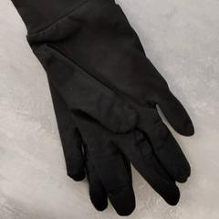 Luvas Zwart, segundo informou Arriva Friesland / Groningen usando iLost