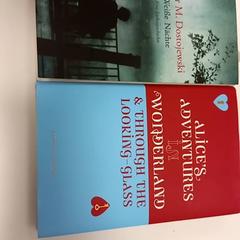 서적, iLost를 사용하여 Arriva Limburg Zuid에 보고됨