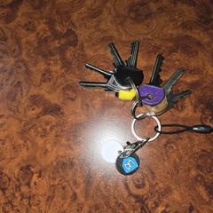 Large bunch of keys, jak bylo nahlášeno na iLost