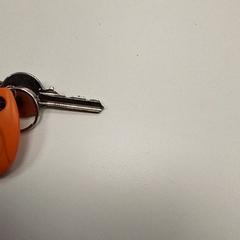 Nøkkel, som rapportert av ilévia ved bruk av iLost