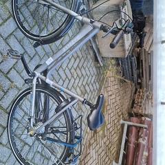 Damenrad, gemeldet von Gemeente Roermond über iLost