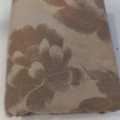 Shawl, as reported by Arriva Limburg Noord using iLost