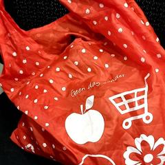 Bag, as reported by allGo Almere using iLost