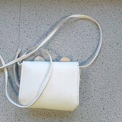 Borsa wit, come riportato da Centraal magazijn utilizzando iLost