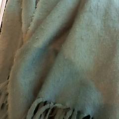 شال Groen، كما تم الإبلاغ عنه بواسطة Arriva Limburg Zuid عبر iLost