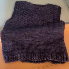 Colete, como reportado por Familie Resort Molenwaard utilizando o iLost