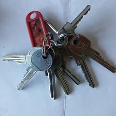 Sleutelbos, as reported to iLost