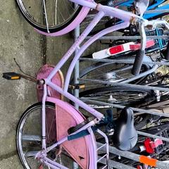 Bicicleta para niños Paars, ha sido reportado por Stadswerk072 con iLost