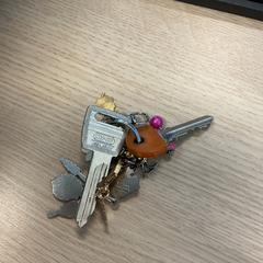 Clauer, segons ha informat Gemeente Arnhem mitjançant iLost