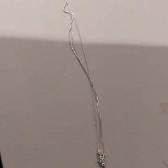 Ketting, zoals gemeld door TU/e - Receptie Neuron met iLost