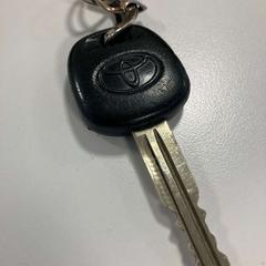 Bilnøkkel, som rapportert av Gemeente Ede ved bruk av iLost