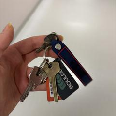 Keys with keychain, iLost'a bildirildiği gibi