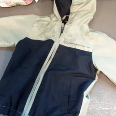 Bunda, ako bolo nahlásené Diergaarde Blijdorp pomocou iLost