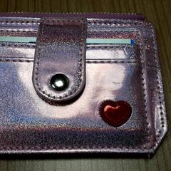 Titolare della carta, come riportato da Connexxion Haarlem AML utilizzando iLost