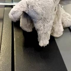 Xoguete de peluche, segundo informou Qbuzz GD Groningen HS usando iLost