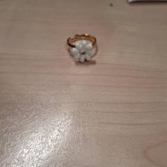 Prsten, jak nahlášeno IKEA Grenoble pomocí iLost