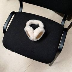 Cuffie, come riportato da Qbuzz GD Groningen Peizerweg utilizzando iLost