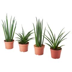 İLost kullanarak IKEA横浜 tarafından bildirildiği gibi IKEA ürünü 他1点計２点