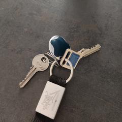 Sleutels met mogelijke airtag がiLostに報告されました