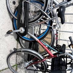 Bicicleta de mujer Pointer, ha sido reportado por Stadswerk072 con iLost