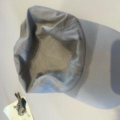 Grijze Pet, segons ha informat Groninger Museum mitjançant iLost