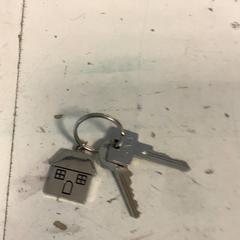 Kľúč Gevonden in vrijwilligers ruimte, ako bolo nahlásené Artis pomocou iLost