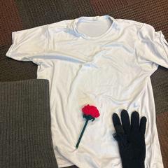 Kvetina, ako bolo nahlásené Amsterdam ID Aparthotel pomocou iLost